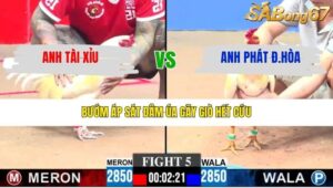 TRẬN 5 CPC3 29/1/2026