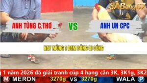 TRẬN 5 CPC5 19/1/2026