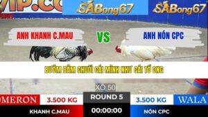 TRẬN 5 TONHON 30/1/2026