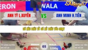 TRẬN 5 XÀ XÍA 13/1/2026