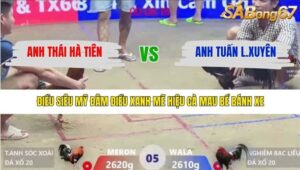 TRẬN 5 XÀ XÍA 31/1/2026