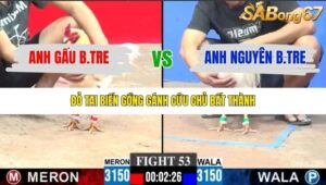 TRẬN 53 CPC3 23/1/2026