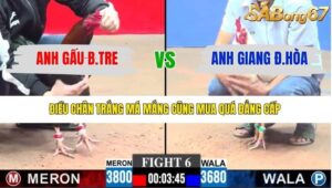 TRẬN 6 CPC3 11/1/2026