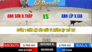 TRẬN 6 TONHON 16/1/2026