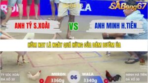 TRẬN 6 XÀ XÍA 21/1/2026