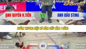 TRẬN 61 XÀ XÍA 1/1/2026