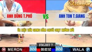 TRẬN 7 CPC3 8/1/2026