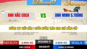 TRẬN 7 TONHON 7/1/2026