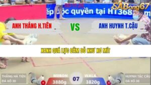 TRẬN 7 XÀ XÍA 26/1/2026