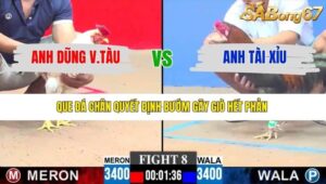 TRẬN 8 CPC3 11/1/2026