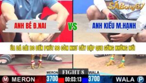 TRẬN 8 CPC3 8/1/2026