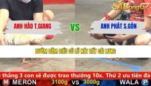 TRẬN 8 CPC5 30/1/2026