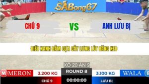 TRẬN 8 TONHON 13/1/2026