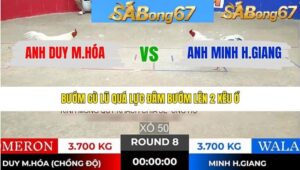 TRẬN 8 TONHON 17/1/2026