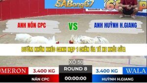 TRẬN 8 TONHON 30/1/2026