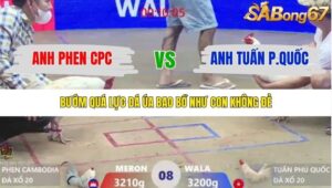 TRẬN 8 XÀ XÍA 20/1/2026