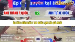 TRẬN 8 XÀ XÍA 24/1/2026