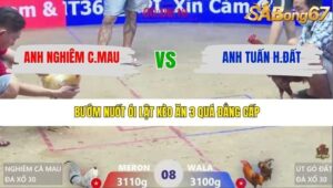 TRẬN 8 XÀ XÍA 31/1/2026