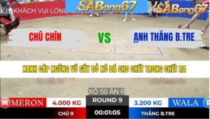 TRẬN 9 TONHON 10/1/2026