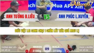 TRẬN 9 XÀ XÍA 13/1/2026