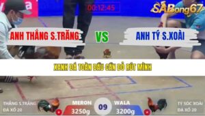 TRẬN 9 XÀ XÍA 16/1/2026