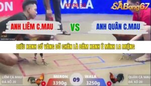 TRẬN 9 XÀ XÍA 24/1/2026