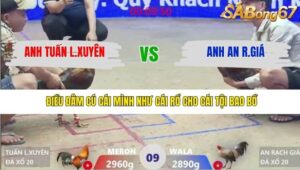 TRẬN 9 XÀ XÍA 31/1/2026