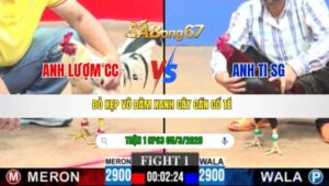 TRẬN 1 CPC3 NGÀY 05/3/2026