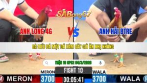 TRẬN 10 CPC2 NGÀY 04/3/2026