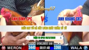 TRẬN 10 CPC3 NGÀY 08/3/2026