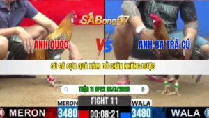 TRẬN 11 CPC2 NGÀY 06/3/2026