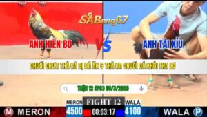 TRẬN 12 CPC3 NGÀY 08/3/2026