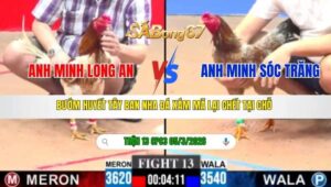 TRẬN 13 CPC3 NGÀY 05/3/2026