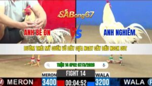 TRẬN 14 CPC2 NGÀY 07/3/2026