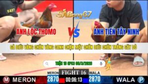 TRẬN 16 CPC3 NGÀY 08/3/2026