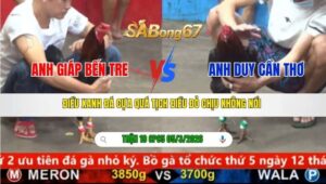 TRẬN 19 CPC5 NGÀY 05/3/2026