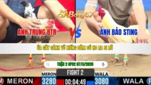 TRẬN 2 CPC2 NGÀY 07/3/2026