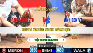 TRẬN 20 CPC3 NGÀY 05/3/2026