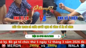 TRẬN 20 CPC5 NGÀY 05/3/2026
