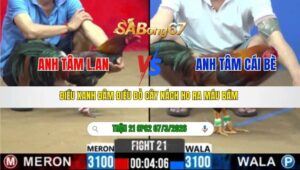 TRẬN 21 CPC2 NGÀY 07/3/2026