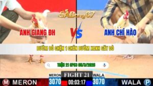 TRẬN 21 CPC3 NGÀY 05/3/2026