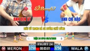 TRẬN 24 CPC3 NGÀY 05/3/2026