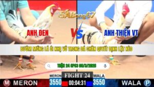 TRẬN 24 CPC3 NGÀY 08/3/2026