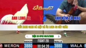 TRẬN 28 CPC2 NGÀY 06/3/2026