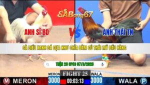 TRẬN 28 CPC3 NGÀY 07/3/2026