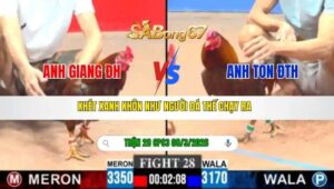 TRẬN 28 CPC3 NGÀY 08/3/2026