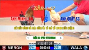 TRẬN 33 CPC3 NGÀY 07/3/2026