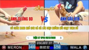 TRẬN 37 CPC3 NGÀY 08/3/2026