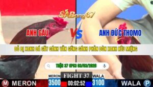 TRẬN 37 CPC3 NGÀY 03/3/2026