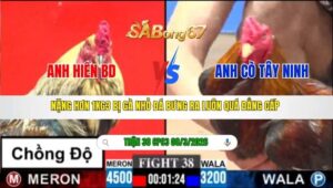 TRẬN 38 CPC3 NGÀY 08/3/2026